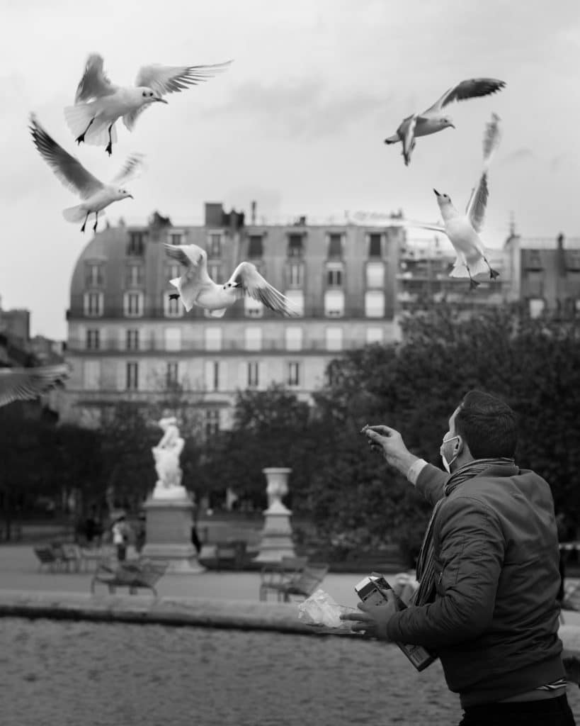 Photographie de rue d'un homme nourrisant des oiseaux à Paris