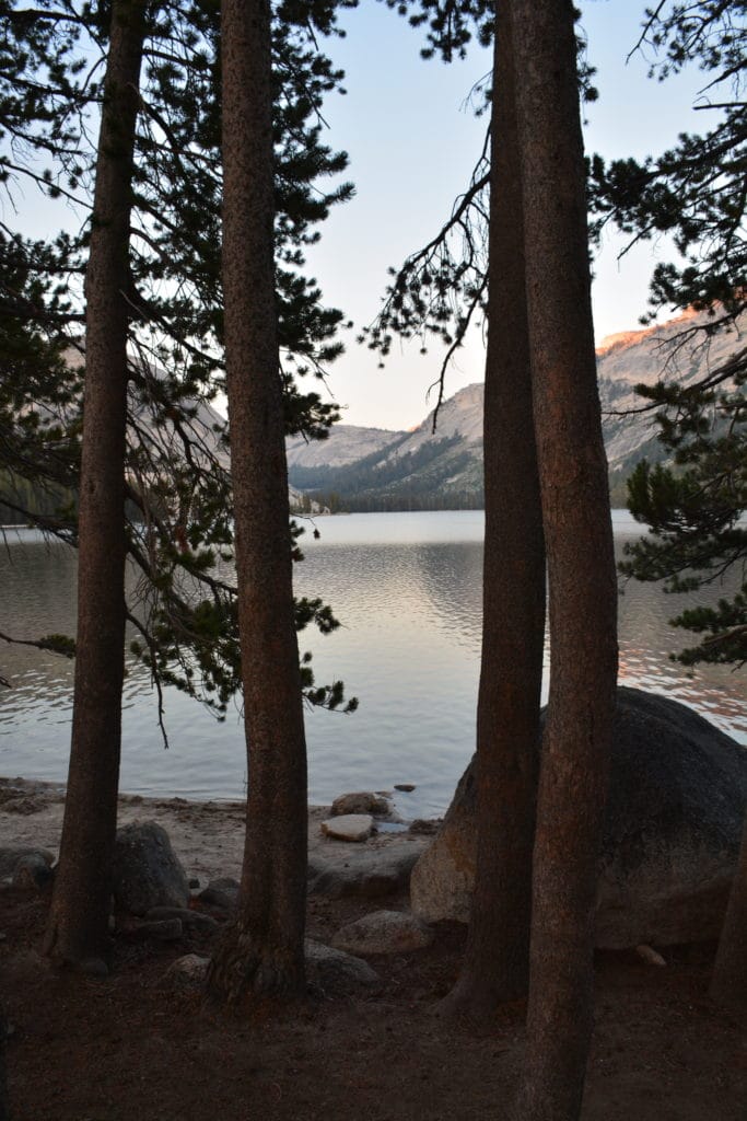 Road trip aux Etats-Unis : Etape de Tenaya Lake