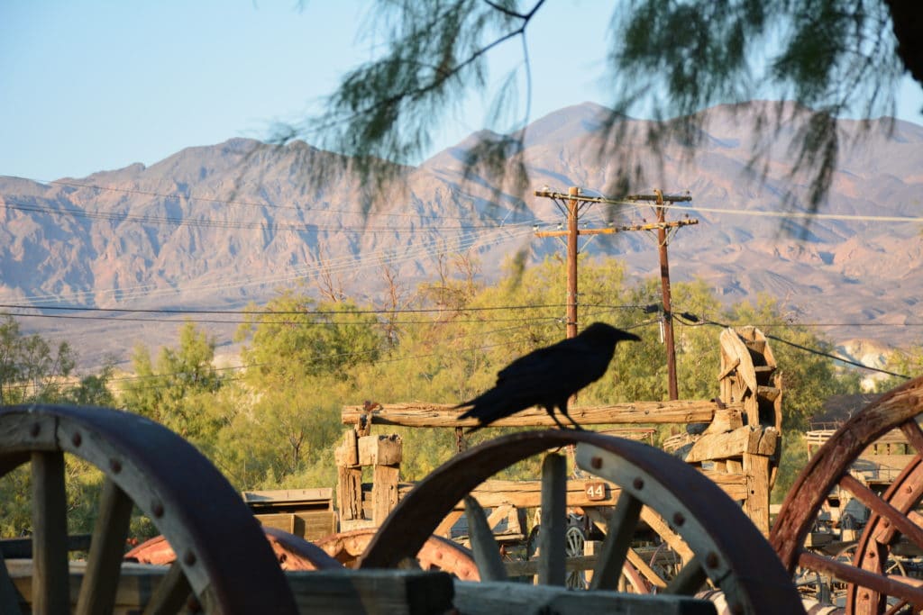 Road trip aux Etats-Unis : Etape de la Death Valley